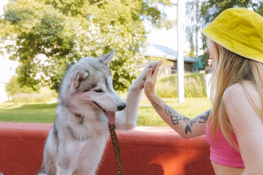 person and dog enjoying playtime outdoors