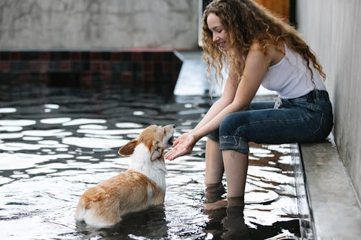 dog and owner happily training together