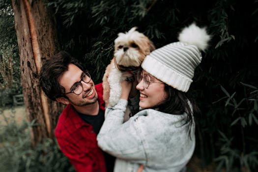 Shih Tzu practicing commands in a park