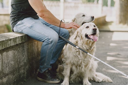 service dog assisting owner