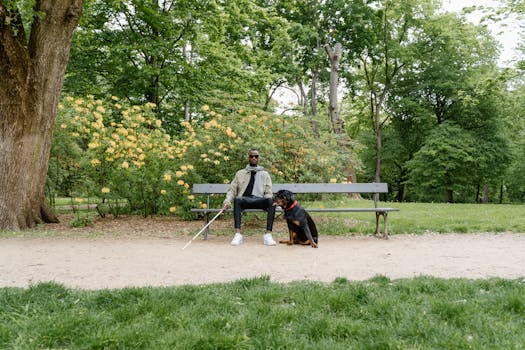 service dog assisting owner