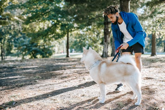 rescue dog training with owner