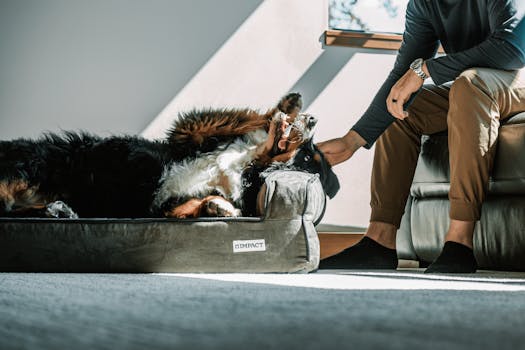 crating a dog safely