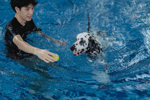 trainer assisting with service dog training