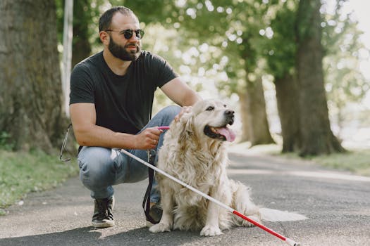 service dog assisting with mobility