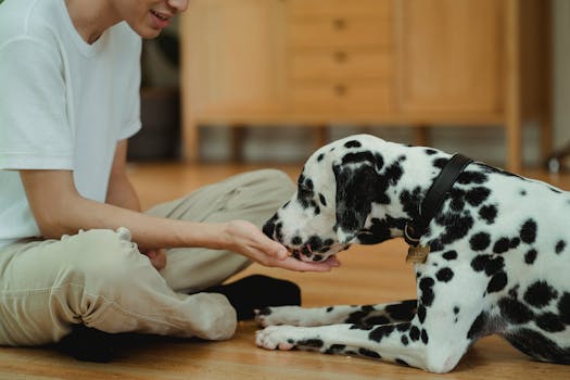 dog owner training puppy in a crate