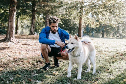 senior dog enjoying a gentle training session