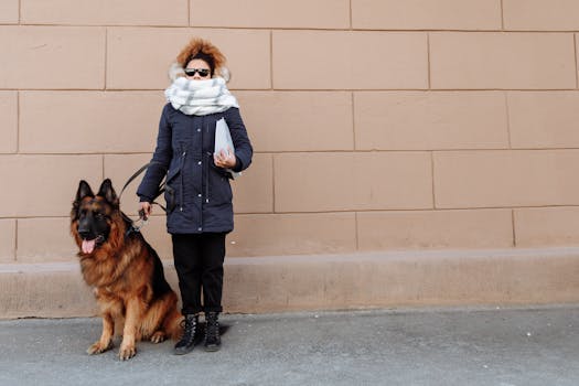 service dog assisting a person