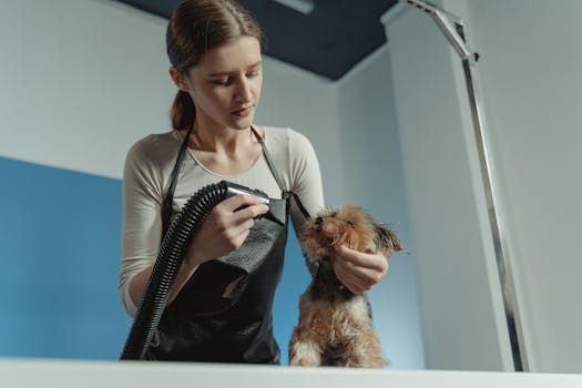 service dog grooming