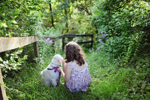 happy child training a puppy