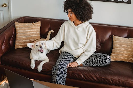 dog and owner working together