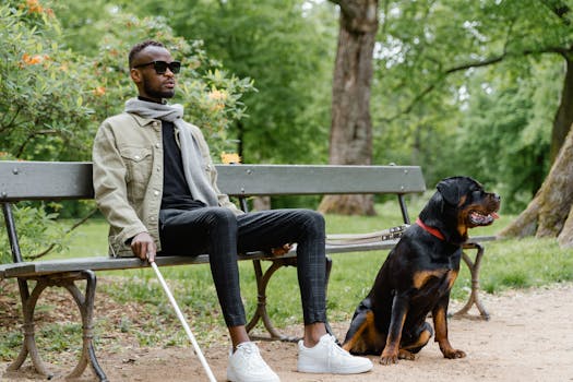 Service dog assisting a person