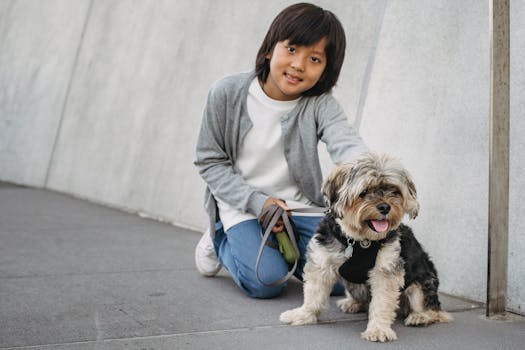 service dog walking with owner