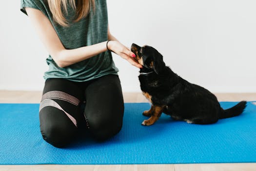 small dog with training treats