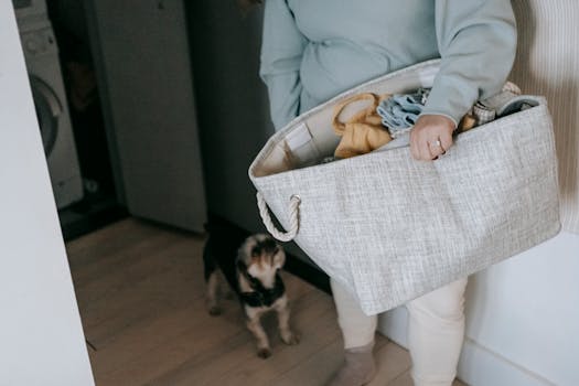 dog helping owner with daily tasks