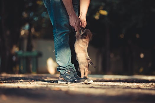 happy service dog with trainer