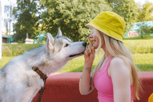 service dog training in a park