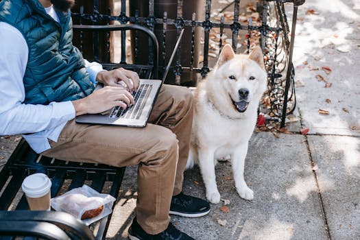 dog receiving praise after going outside