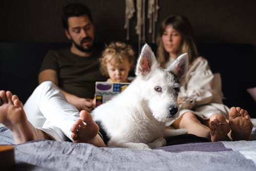 happy dog playing with a child