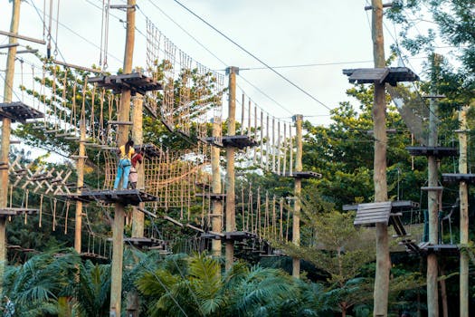 dog navigating an obstacle course