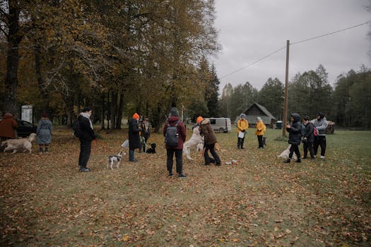 puppy socializing with other dogs