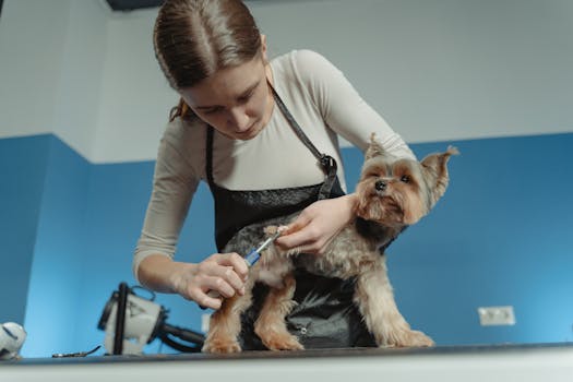 service dog enjoying a grooming session