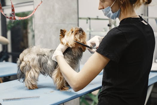 grooming a service dog