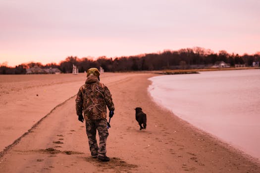 dog walking calmly