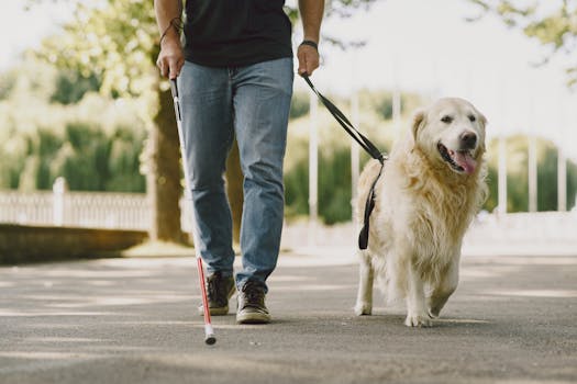 service dog helping a person with mobility