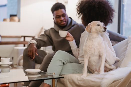 a small dog in a cozy apartment