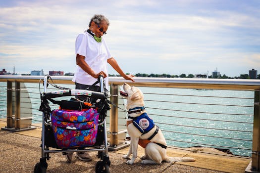 happy service dog with a vest