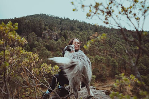 service dog hiking with owner