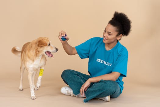 service dog training session in progress