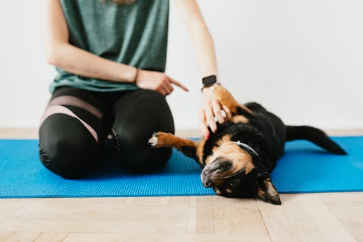 dog training at home