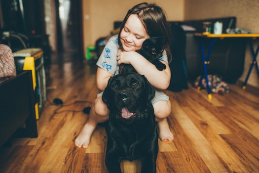 happy dog meeting a cat