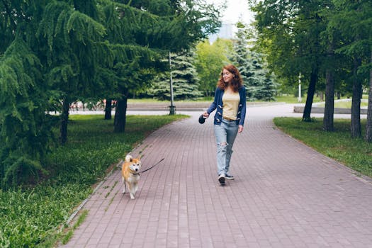 dog enjoying outdoor activities