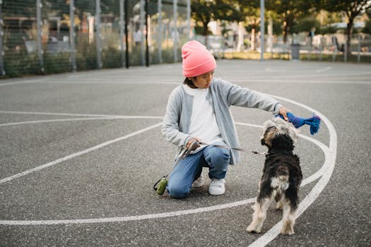 image showing dog training session