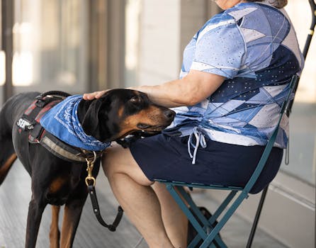 service dog assisting owner