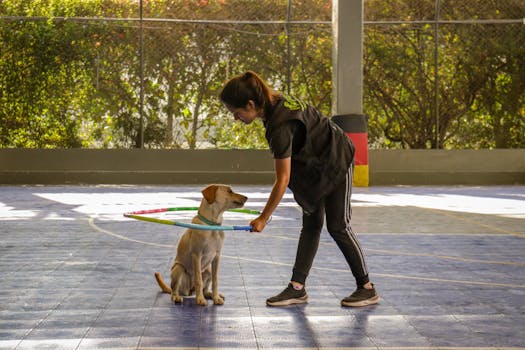 happy dog with trainer