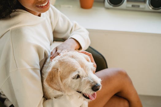 happy service dog with owner