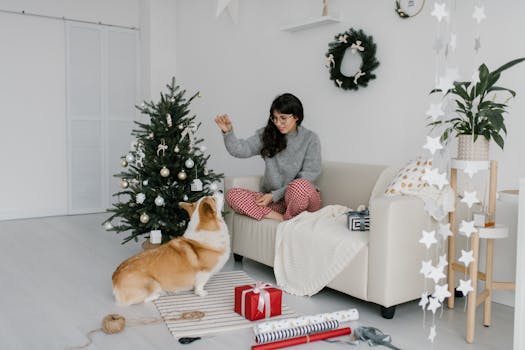 dog assisting its owner