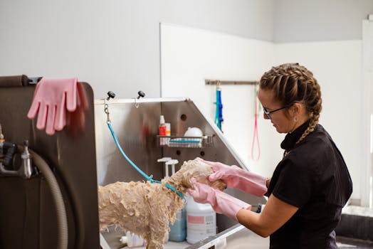 trainer working with service dog