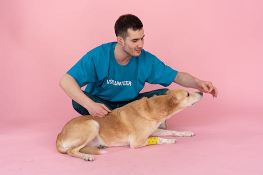 trainer helping a person with a puppy