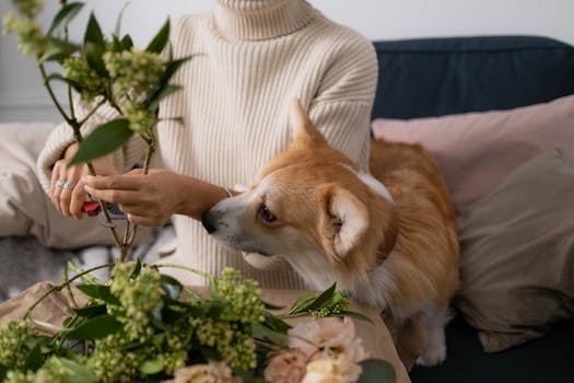 calm dog during grooming