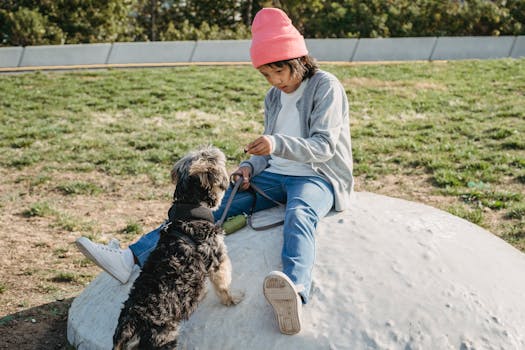 a service dog practicing leash training