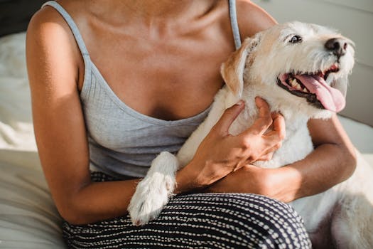 owner and service dog enjoying time together