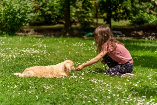 happy service dog with child