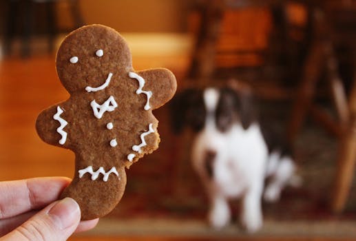 dog receiving a treat