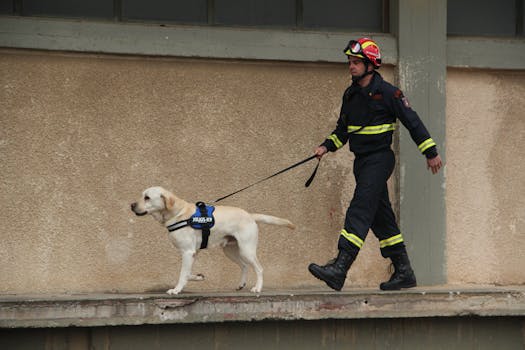 happy service dog with handler