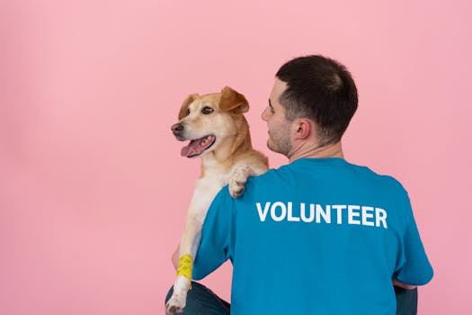 service dog interacting positively with a person